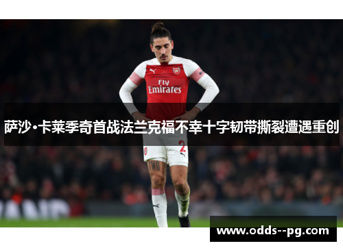 萨沙·卡莱季奇首战法兰克福不幸十字韧带撕裂遭遇重创 萨沙·卡莱季奇首战法兰克福不幸十字韧带撕裂遭遇重创