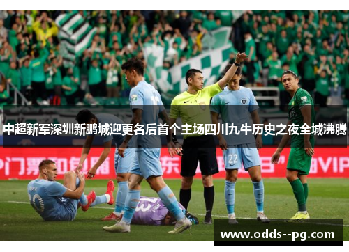 中超新军深圳新鹏城迎更名后首个主场四川九牛历史之夜全城沸腾